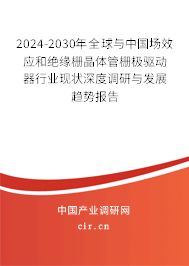 2024-2030年全球與中國場效應和絕緣柵晶體管柵極驅動器行業(yè)現(xiàn)狀深度調研與發(fā)展趨勢報告