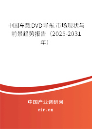 中國車載DVD導(dǎo)航市場(chǎng)現(xiàn)狀與前景趨勢(shì)報(bào)告（2025-2031年）