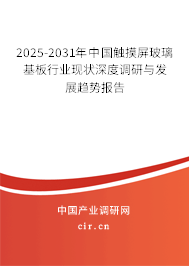 2025-2031年中國觸摸屏玻璃基板行業(yè)現(xiàn)狀深度調研與發(fā)展趨勢報告