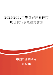 2025-2031年中國(guó)穿刺套件市場(chǎng)現(xiàn)狀與前景趨勢(shì)預(yù)測(cè)