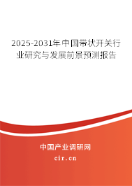2025-2031年中國(guó)帶狀開關(guān)行業(yè)研究與發(fā)展前景預(yù)測(cè)報(bào)告