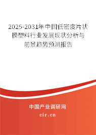 2025-2031年中國(guó)低密度片狀模塑料行業(yè)發(fā)展現(xiàn)狀分析與前景趨勢(shì)預(yù)測(cè)報(bào)告