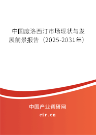 中國(guó)度洛西汀市場(chǎng)現(xiàn)狀與發(fā)展前景報(bào)告（2025-2031年）