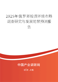 2025年俄羅斯投資環(huán)境市場調(diào)查研究與發(fā)展前景預(yù)測報告