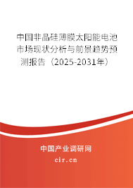 中國非晶硅薄膜太陽能電池市場現(xiàn)狀分析與前景趨勢預(yù)測報(bào)告（2025-2031年）