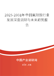 2025-2031年中國氟硅酸行業(yè)發(fā)展深度調(diào)研與未來趨勢報告