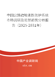 中國公路邊坡柔性防護系統(tǒng)市場調(diào)研及前景趨勢分析報告（2025-2031年）