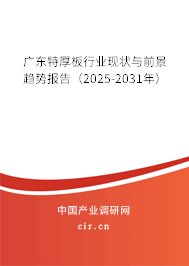 廣東特厚板行業(yè)現(xiàn)狀與前景趨勢報告（2025-2031年）