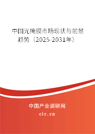 中國光掩膜市場現(xiàn)狀與前景趨勢（2025-2031年）