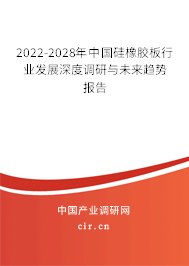 2022-2028年中國(guó)硅橡膠板行業(yè)發(fā)展深度調(diào)研與未來(lái)趨勢(shì)報(bào)告