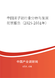 中國滾子鏈行業(yè)分析與發(fā)展前景報告（2025-2031年）