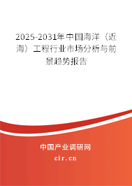 2025-2031年中國海洋（近海）工程行業(yè)市場分析與前景趨勢報告