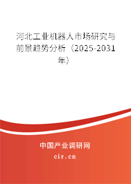河北工業(yè)機(jī)器人市場(chǎng)研究與前景趨勢(shì)分析（2025-2031年）