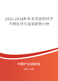 2025-2031年黑龍江露營(yíng)經(jīng)濟(jì)市場(chǎng)現(xiàn)狀與發(fā)展趨勢(shì)分析