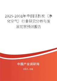 2025-2031年中國活性炭（凈化空氣）行業(yè)研究分析與發(fā)展前景預(yù)測報告