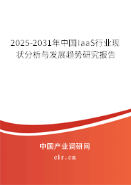 2025-2031年中國(guó)IaaS行業(yè)現(xiàn)狀分析與發(fā)展趨勢(shì)研究報(bào)告