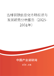吉林鋼鐵信息化市場現(xiàn)狀與發(fā)展趨勢分析報告（2025-2031年）
