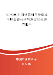 2025年中國計(jì)算機(jī)系統(tǒng)集成市場調(diào)查分析與發(fā)展前景研究報(bào)告