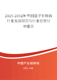 2025-2031年中國量子處理器行業(yè)發(fā)展研究與行業(yè)前景分析報(bào)告