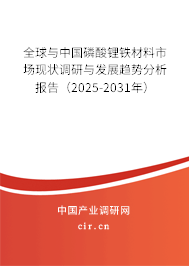 全球與中國磷酸鋰鐵材料市場現(xiàn)狀調(diào)研與發(fā)展趨勢分析報告（2024-2030年）