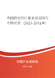 中國硫化鈣行業(yè)發(fā)展調(diào)研與市場前景（2025-2031年）
