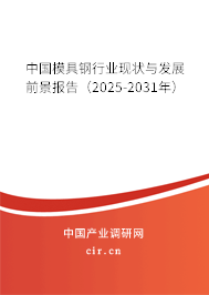 中國(guó)模具鋼行業(yè)現(xiàn)狀與發(fā)展前景報(bào)告（2025-2031年）