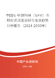中國N-甲酰嗎啉（NFM）市場(chǎng)現(xiàn)狀深度調(diào)研與發(fā)展趨勢(shì)分析報(bào)告（2024-2030年）