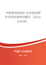 中國(guó)能源金融行業(yè)發(fā)展調(diào)研與市場(chǎng)前景預(yù)測(cè)報(bào)告（2024-2030年）