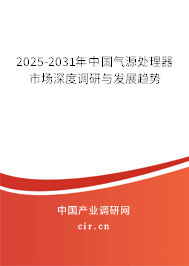 2025-2031年中國氣源處理器市場深度調(diào)研與發(fā)展趨勢