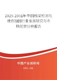 2025-2031年中國橋梁檢測與維修加固行業(yè)發(fā)展研究與市場前景分析報告