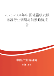 2025-2031年中國輕量級云服務(wù)器行業(yè)調(diào)研與前景趨勢報告