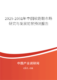 2025-2031年中國(guó)軟跑鞋市場(chǎng)研究與發(fā)展前景預(yù)測(cè)報(bào)告