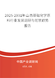 2025-2031年山西基礎(chǔ)化學(xué)原料行業(yè)發(fā)展調(diào)研與前景趨勢報告