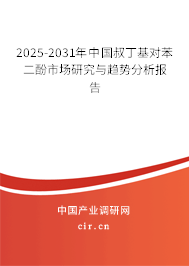 2025-2031年中國叔丁基對苯二酚市場研究與趨勢分析報告