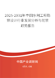 2025-2031年中國(guó)水利工程勘察設(shè)計(jì)行業(yè)發(fā)展分析與前景趨勢(shì)報(bào)告