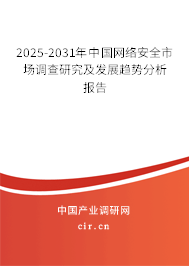 2025-2031年中國(guó)網(wǎng)絡(luò)安全市場(chǎng)調(diào)查研究及發(fā)展趨勢(shì)分析報(bào)告