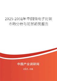 2025-2031年中國微電子封裝市場分析與前景趨勢報告
