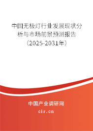 中國無極燈行業(yè)發(fā)展現(xiàn)狀分析與市場前景預(yù)測報(bào)告（2025-2031年）