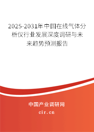 2025-2031年中國在線氣體分析儀行業(yè)發(fā)展深度調(diào)研與未來趨勢預(yù)測報(bào)告
