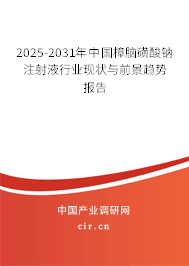 2025-2031年中國(guó)樟腦磺酸鈉注射液行業(yè)現(xiàn)狀與前景趨勢(shì)報(bào)告