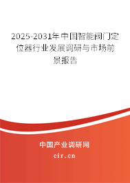 2025-2031年中國智能閥門定位器行業(yè)發(fā)展調研與市場前景報告