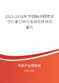 2025-2031年中國軸承圓錐滾子行業(yè)分析與發(fā)展前景預(yù)測報告