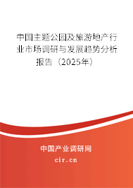 中國(guó)主題公園及旅游地產(chǎn)行業(yè)市場(chǎng)調(diào)研與發(fā)展趨勢(shì)分析報(bào)告（2025年）