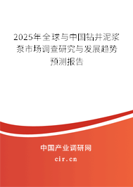 2025年全球與中國鉆井泥漿泵市場調(diào)查研究與發(fā)展趨勢預(yù)測報告