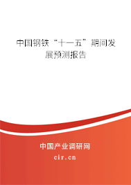 中國(guó)鋼鐵“十一五”期間發(fā)展預(yù)測(cè)報(bào)告