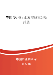中國NGN行業(yè)發(fā)展研究分析報(bào)告