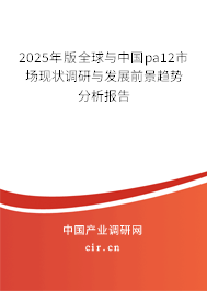 2024年版全球與中國pa12市場現狀調研與發(fā)展前景趨勢分析報告