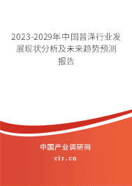 2023-2029年中國普澤行業(yè)發(fā)展現(xiàn)狀分析及未來趨勢預(yù)測報告