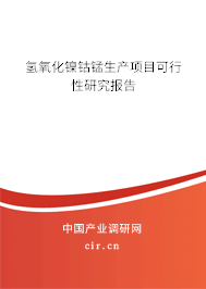 氫氧化鎳鈷錳生產(chǎn)項(xiàng)目可行性研究報(bào)告