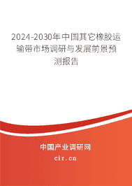 2023-2029年中國其它橡膠運輸帶市場調(diào)研與發(fā)展前景預測報告